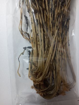 박시내님의 작성글 사진