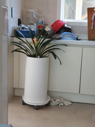 권기은님의 자유주제 · 자유게시판 작성글 사진