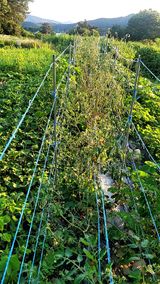 팜모닝 자유주제·자유게시판 게시글 이미지