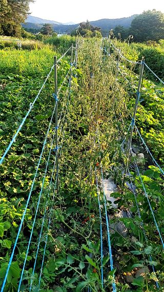 전희숙님의 자유주제 · 자유게시판 작성글 사진