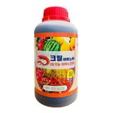 팜모닝 · 게시글 이미지