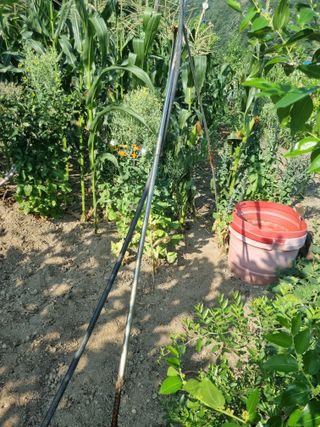 김용대님의 자유주제 · 자유게시판 작성글 사진