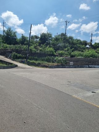 김용대님의 자유주제 · 자유게시판 작성글 사진