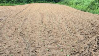 홍성덕님의 자유주제 · 자유게시판 작성글 사진