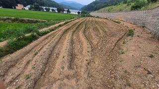 홍성덕님의 자유주제 · 자유게시판 작성글 사진