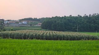 홍성덕님의 자유주제 · 자유게시판 작성글 사진