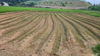 홍성덕님의 자유주제 · 자유게시판 작성글 사진