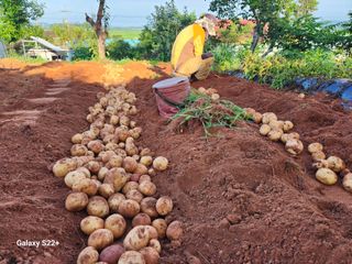 송아지님의 작성글 사진