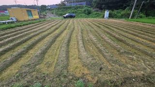 홍성덕님의 자유주제 · 자유게시판 작성글 사진