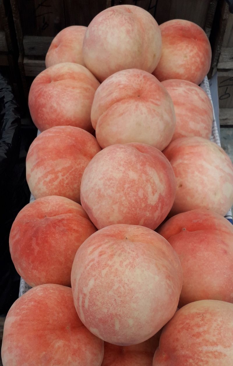 이슬농부농산님의 장터 판매 상품 [[히트상품]복숭아[황도/백도]당도짱4kg] 첨부 사진