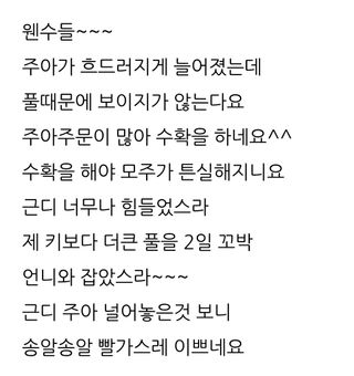 삼성농산님의 파·자유게시판 작성글 사진