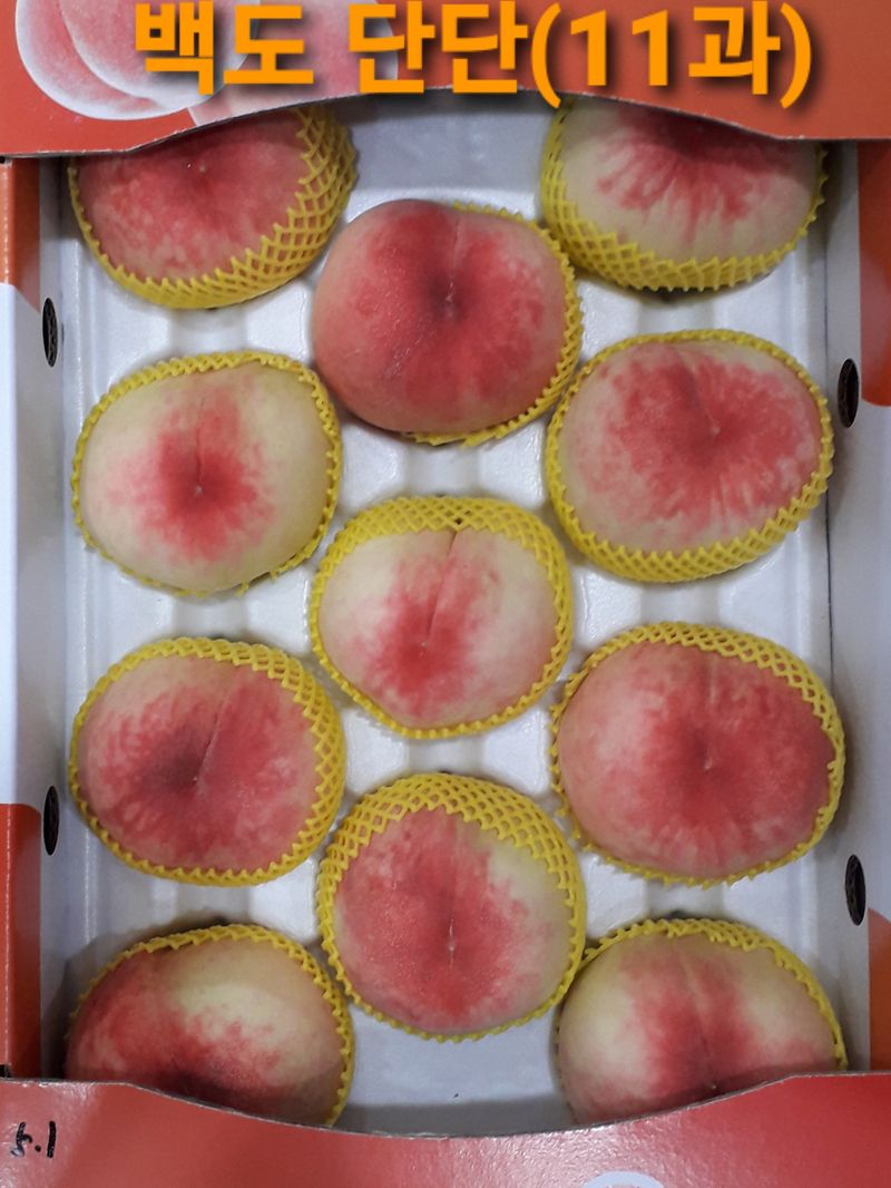 이슬농부농산님의 장터 판매 상품 [[히트상품]복숭아[황도/백도]당도짱4kg] 첨부 사진