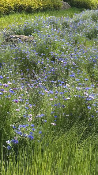 알 수 없음님의 자유주제 · 자유게시판 작성글 사진