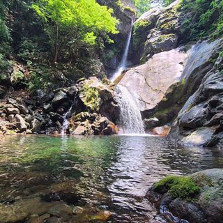 안길원님의 자유주제 · 자유게시판 작성글 사진