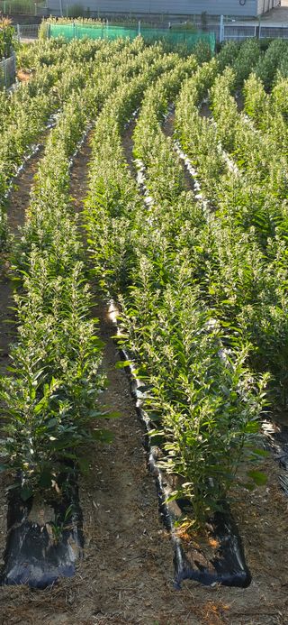 민우님의 자유주제 · 사진전 작성글 사진