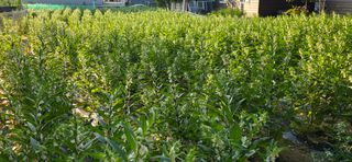 민우님의 자유주제 · 사진전 작성글 사진