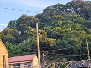 최한섭님의 자유주제 · 자유게시판 작성글 사진