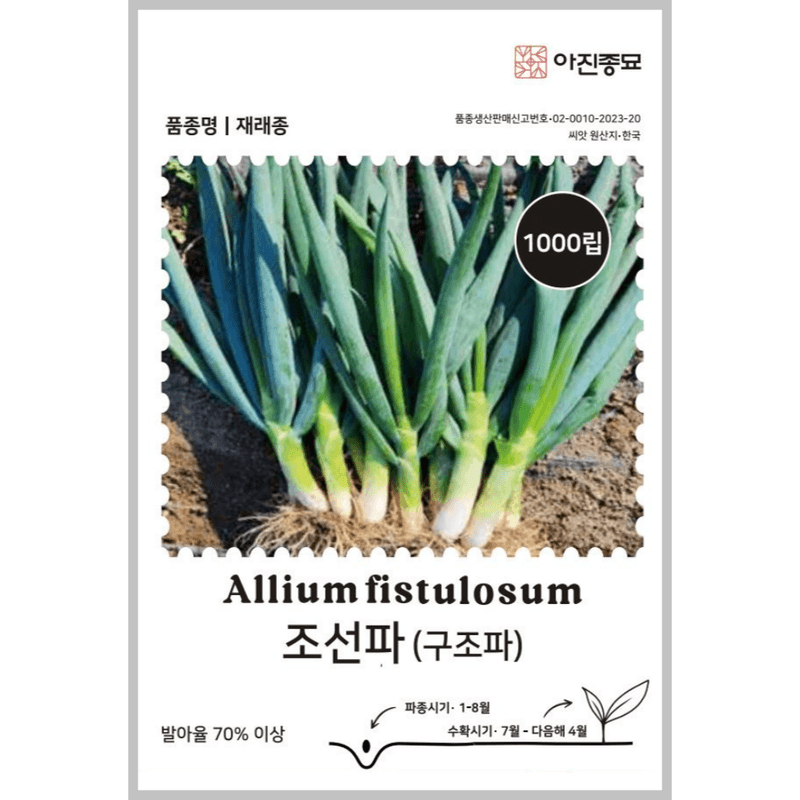 주주씨앗님의 장터 판매 상품 [[아진] 조선파 1000립 구조파 파씨앗 대파씨앗 ] 첨부 사진