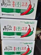 팜모닝 자유주제·자유게시판 게시글 이미지