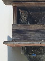 팜모닝 자유주제·자유게시판 게시글 이미지