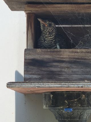 김정술님의 자유주제 · 자유게시판 작성글 사진