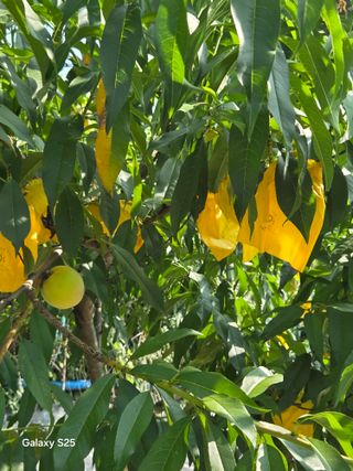 이세순님의 자유주제 · 자유게시판 작성글 사진