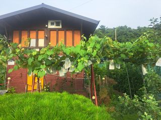 온시디움님의 자유주제 · 자유게시판 작성글 사진