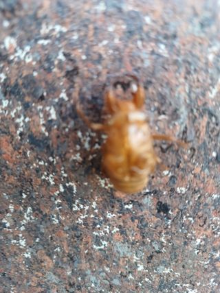 이정민님의 자유주제 · 자유게시판 작성글 사진