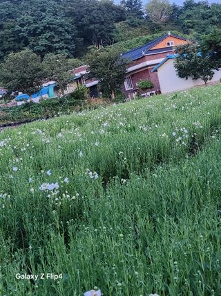 송명석님의 자유주제 · 자유게시판 작성글 사진