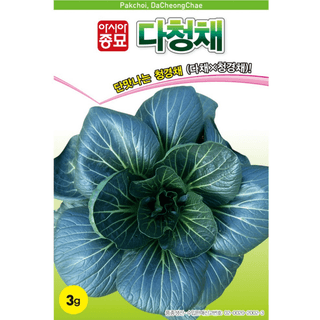 주주씨앗님의 작성글 사진