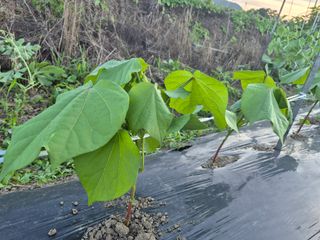 이정민님의 자유주제 · 자유게시판 작성글 사진