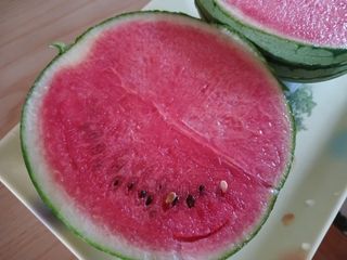 금동이네님의 자유주제 · 자유게시판 작성글 사진