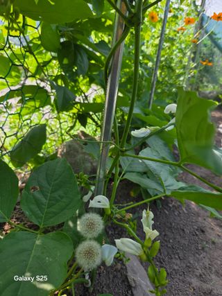이세순님의 자유주제 · 자유게시판 작성글 사진