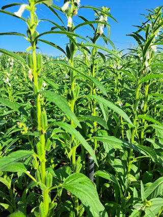 좋은인연원님의 자유주제 · 자유게시판 작성글 사진