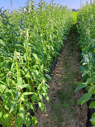 좋은인연원님의 자유주제 · 자유게시판 작성글 사진