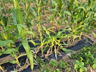 우만님의 자유주제 · 자유게시판 작성글 사진