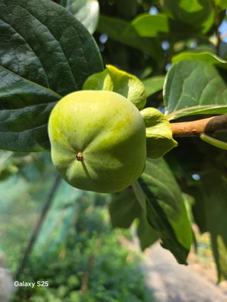 이세순님의 자유주제 · 자유게시판 작성글 사진