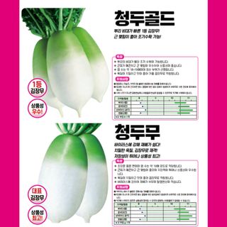 아시아종묘님의 자유주제 · 자유게시판 작성글 사진