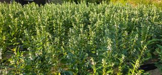 민우님의 자유주제 · 사진전 작성글 사진