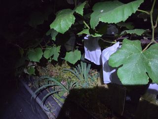 태일농산이정수님의 자유주제 · 자유게시판 작성글 사진