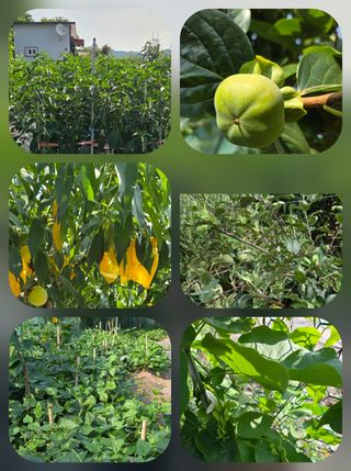 이세순님의 자유주제 · 자유게시판 작성글 사진