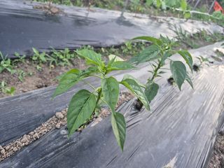 이정민님의 자유주제 · 자유게시판 작성글 사진