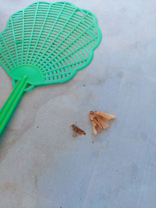 둥이농장(김준태)님의 자유주제 · 자유게시판 작성글 사진