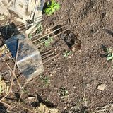 팜모닝 자유주제·자유게시판 게시글 이미지