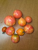 팜모닝 농사, 무엇이든 물어보세요!·참여글 게시글 이미지