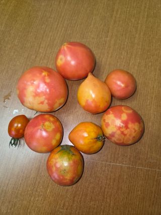 이재욱님의 농사, 무엇이든 물어보세요! · 참여글 작성글 사진