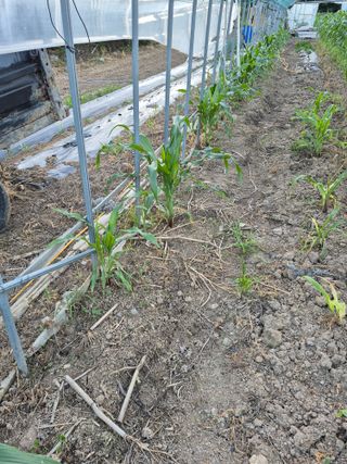 이정민님의 자유주제 · 자유게시판 작성글 사진