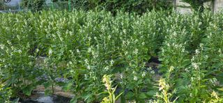 민우님의 자유주제 · 사진전 작성글 사진