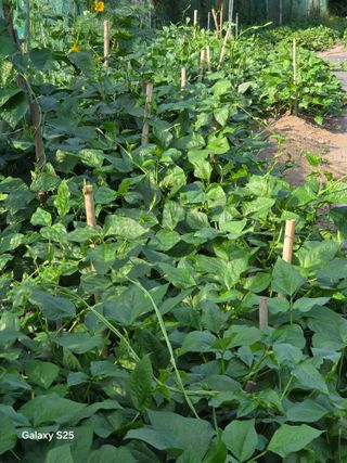 이세순님의 자유주제 · 자유게시판 작성글 사진