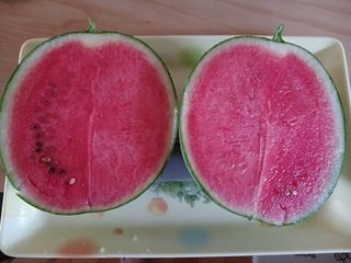 금동이네님의 자유주제 · 자유게시판 작성글 사진